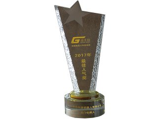 �й���е�˽���ָ��